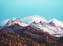 百家乐平台-107比64轻取陕西队，山西女篮得分创新高